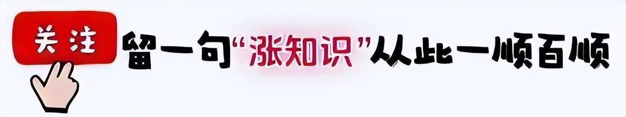 入住久了才知道，厨房最好用的是这5个设计，少一个都难受